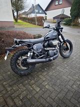 Yamaha SCR 950 - YAMAHA SCR 950