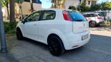Fiat Sehr gepflegter Punto 1.2 8V Classic Classic - Fiat Punto: 1.2