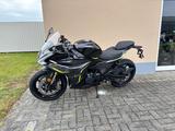 Benelli Tornardo 550 - BENELLI MOTORRAD