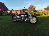 Harley-Davidson FatBoy FLSTF - Angebote