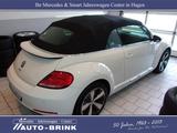 Volkswagen Beetle Cabrio Allstar Nav/Xen/PTS+RFK/33tkm/1.Hd - Volkswagen Beetle ALLSTAR mit Benzin-Antrieb