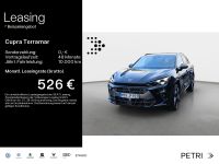 Cupra Terramar - Vorschau Bild 1