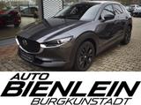 Mazda CX-30 2.5 140PS 6AG Homura Voll-LED Navi Kamera  - Mazda Neuwagen