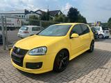 Volkswagen Golf V Lim. GTI Pirelli - Volkswagen Golf: Pirelli GTI