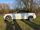Audi Cabriolet A5 Sportline - Audi Cabriolet mit Benzin-Antrieb: Cabrio