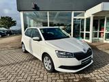 Skoda Fabia Ambition PDC Klima Sitzheizung - Skoda Fabia Gebrauchtwagen in Rostock