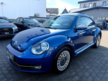 Volkswagen Beetle - 4