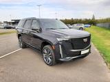 Cadillac Escalade 6.2 V8 Sport Platinum UPE:165000€ - Cadillac Escalade: Leder