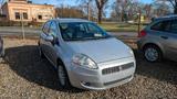 Fiat Punto - gebrauchte Fiat Punto aus dem Jahr 2010