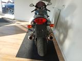 Honda VTR 1000 Firestorm,TÜV NEU,1 JAHR GEWÄHRLEISTUNG - Offers