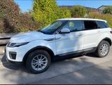Land Rover Range Rover Evoque 2.0 TD4 110kW Pure Autom.... - Land Rover Range Rover Evoque Pure mit Diesel-Antrieb