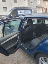 Skoda Octavia 1.6 TDI Greenline Combi 6 Gang - Skoda Octavia: Combi Greenline