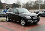 Mercedes-Benz Mercedes Benz ML 350 AMG Paket Motor v6 Vo... - : Mercedes Ml
