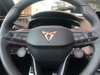 Cupra Terramar - Vorschau Bild 10