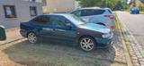Nissan Primera p11 Sport - Nissan Primera: P 11