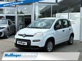Fiat Panda Mild-Hybrid Base Bluetooth nur 24.999km ! - Fiat Panda: Km H