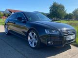 Audi A5 Sportback 2.0 TDI - Audi A5 in Freiburg