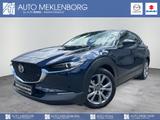Mazda CX-30 2.0l "Selection" "PRE-P" 150PS M Hybrid - Mazda CX-30 Gebrauchtwagen in Berlin