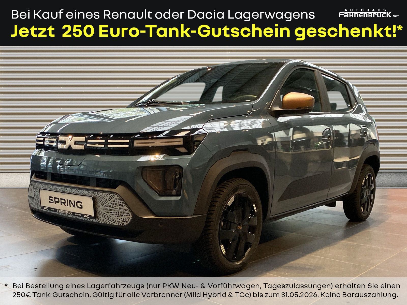 Dacia Spring Extreme ELECTRIC 65 Navi Rückfahrkamera