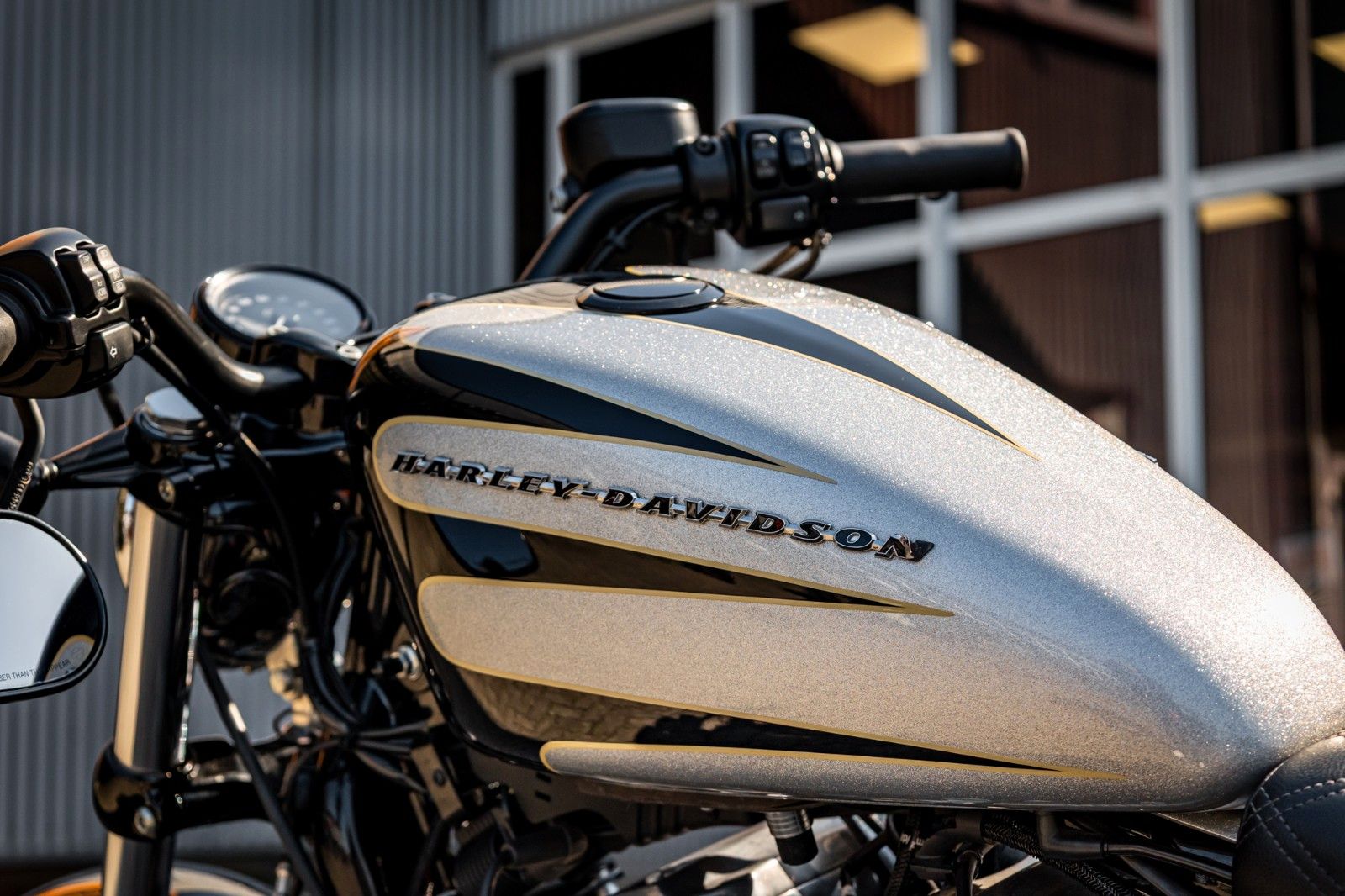 Fahrzeugabbildung Harley-Davidson XL1200X SPORTSTER FORTY-EIGHT - Remus -