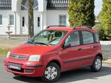 Fiat Panda 1.2 8V Dynamic*SERVICE NEU*TÜV -JUNI 2027 - Fiat Panda: Van