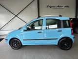 Fiat Panda 1.2 8V *INSP&ZAHNR&HU NEU/ALLWETTER/KLIMA* - Fiat Panda Gebrauchtwagen in Dortmund
