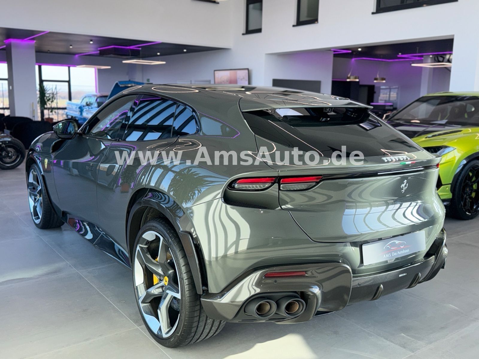 Purosangue Full Carbon Pano Massage