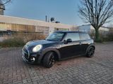 MINI Cooper Seven Chili Seven Chili - MINI MINI mit Benzin-Antrieb: Kleinwagen, Seven