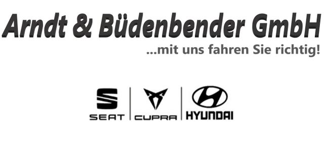 Hyundai IONIQ 6 TECHNIQ-Paket inkl. *20"* *Park-Paket*