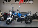 Honda DAX ST125 neu ! inklusive 3 Jahre Garantie ! - HONDA DAX 125