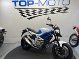 Suzuki SFV Gladius 650 ABS Lieferung möglich - SUZUKI GLADIUS 650