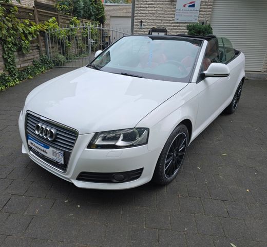 Audi A3 1.6 Cabriolet Attraction Xenon Windschott