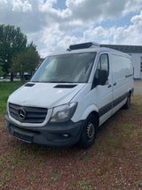 Mercedes-Benz Sprinter II Kühlkasten Motorschaden 313 CDI - Angebote entsprechen deinen Suchkriterien
