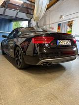 Audi S5 3.0 TFSI S tronic quattro - - Audi Gebrauchtwagen in Pforzheim