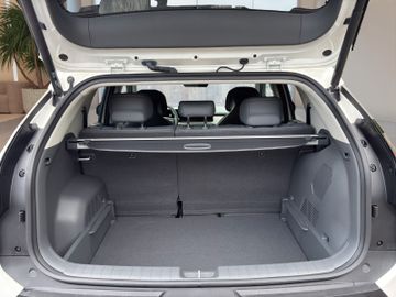 Kia EV3 58,3kWh Earth WP 360 Kamera 19" Elek. Heckkl