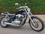 Suzuki Boulevard VS 800 wenig Kilometer  - SUZUKI VS800