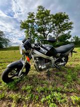 Suzuki GS500E - Familienzuwachs schlägt Fahrspaß - SUZUKI 500