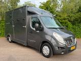 Renault Master  Pferdewagen Horsetruck Hengstversion - gebrauchte Renault Van