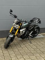 Suzuki GSX-8T Modell 2026!! Sonderumbau!! - SUZUKI NAKED BIKE