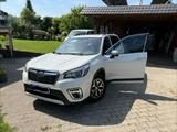 Subaru Forester MHEV AWD Platinum Harman/Kardon   - gebrauchte Subaru Forester aus dem Jahr 2020