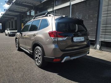Subaru Forester - 3