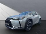 Lexus UX 250h*STYLE*FACELIFT* ALLW.*CARPLAY*GARANTIE - Lexus UX: Automatik