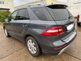 Mercedes-Benz ML 350 AMG,Panorama,Standheizung,VOLL - Mercedes-Benz ML 350 in Magdeburg