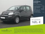 Fiat Panda Pandina 1.0 GSE Hybrid Icon - Fiat Panda Neuwagen mit Benzin-Antrieb