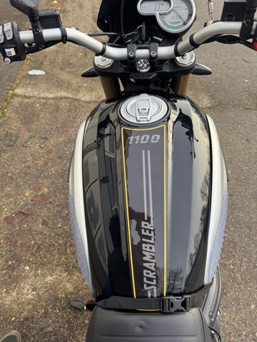 Ducati SCRAMBLER 1100 - Desmo &  Service NEU