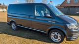 Volkswagen T6 Multivan  4Motion Highline - Volkswagen: Blau, Multivan Motion