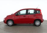 Fiat New Panda Pandina 1.0 mHEV App Connect PDC klima - rote Fiat New Panda