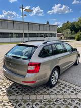 Skoda Octavia 1.6 TDI Elegance Combi  - Skoda Octavia Elegance mit Diesel-Antrieb