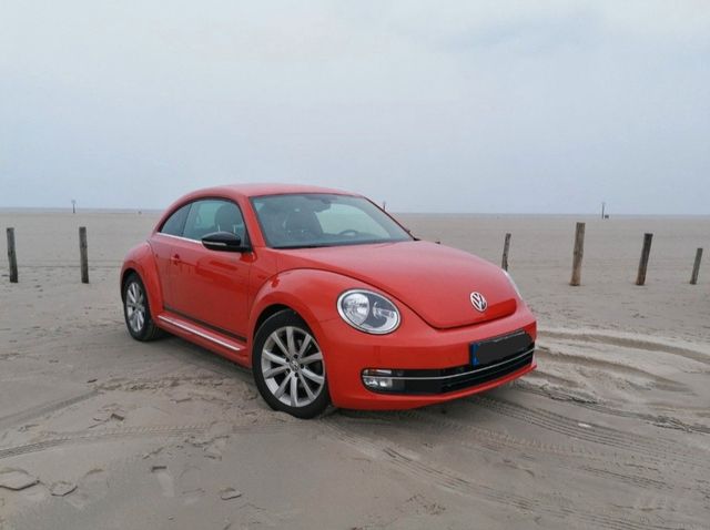 VW Beetle