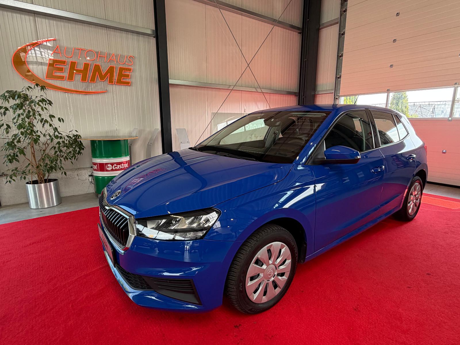 Skoda Fabia Active 1.0 BMT *KLIMA*GANZJAHRES*HU NEU*